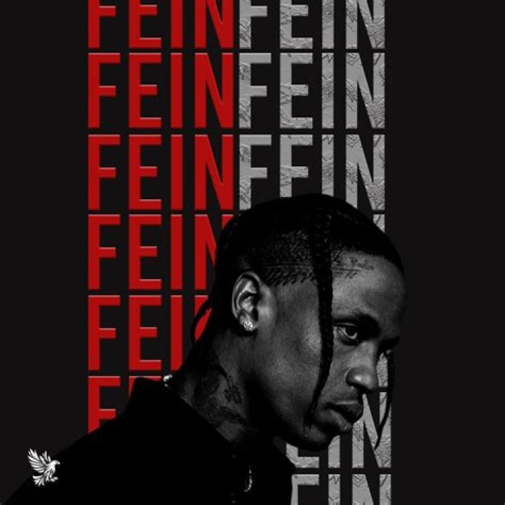 A Deep Dive Into Travis Scott Fein's Featured Collaborations