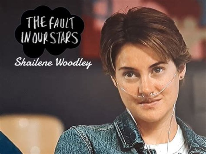 Anticipating The Arrival: Shailene Woodley's Blossoming Pregnancy