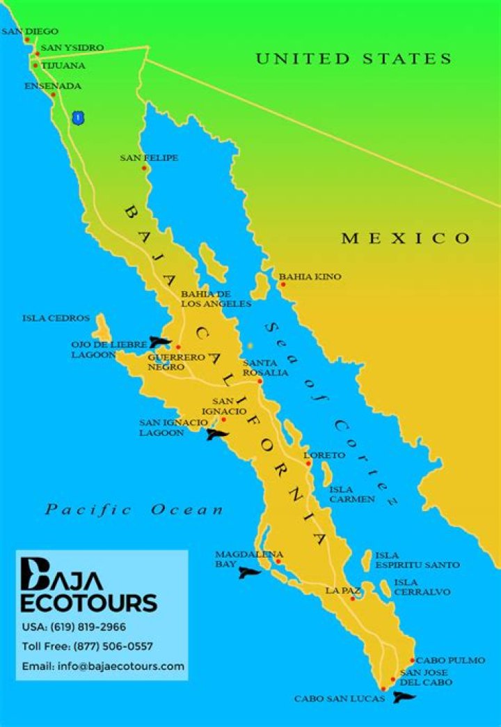 Baja Peninsula: A Guide To Safe Shooting Experiences