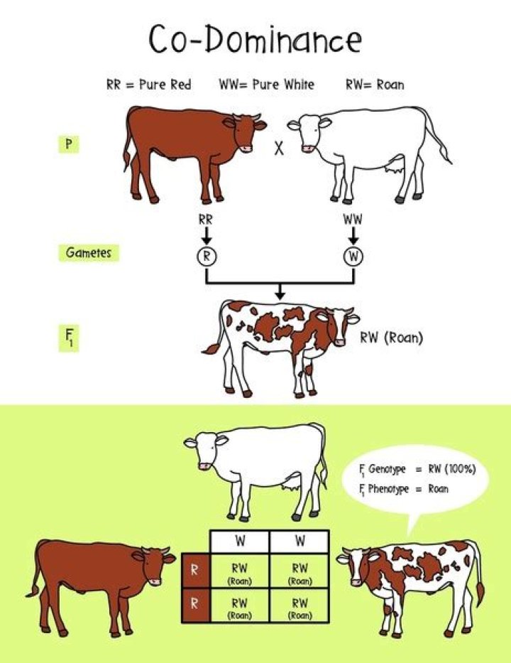 Bray Wyatt's 2020: A Year Of Dominance And Evolution