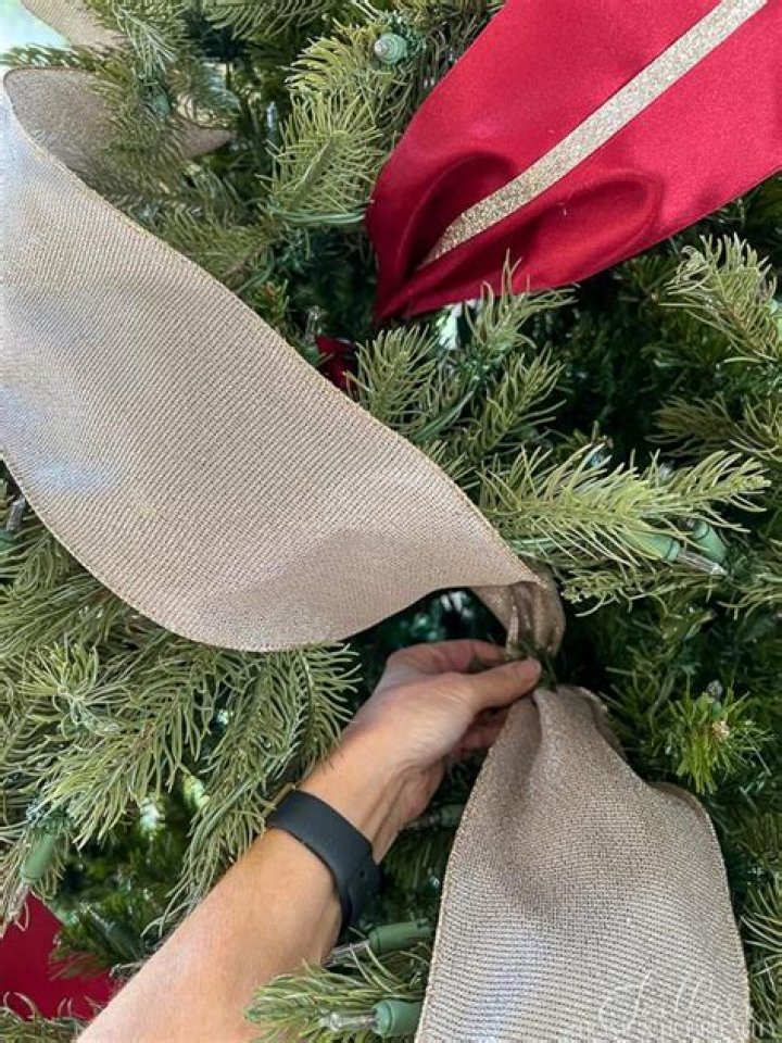 Cardi B's Bold Fashion Statement: "Put A Ribbon On Me" Unveils A New Level Of Style