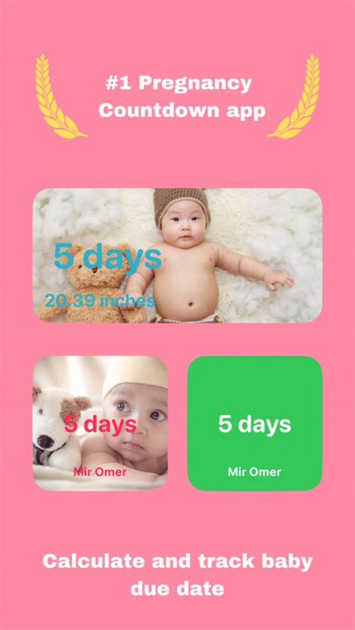 Countdown To The Due Date