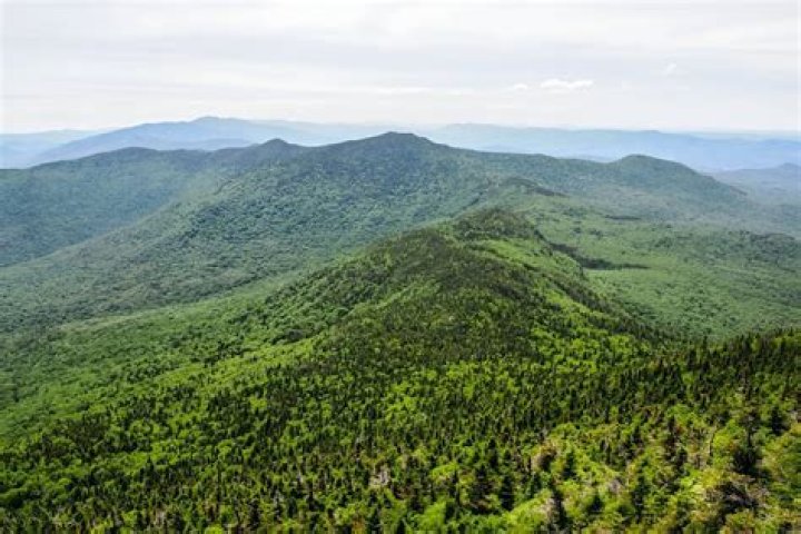 Discover The A-listers Hiding Away In The Green Mountains: Celebrities Living In Vermont