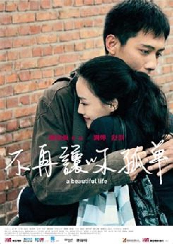 Discovering The Beauty Of Life: A Journey Through "A Beautiful Life" (Chinese Movie)