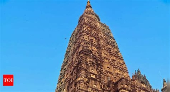 Insider's Scoop On Architectural Wealth