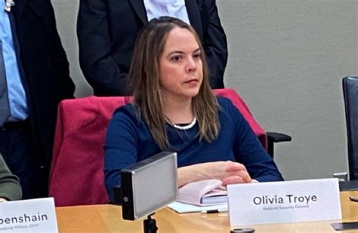 Learn About Olivia Troye's Husband: An In-Depth Look