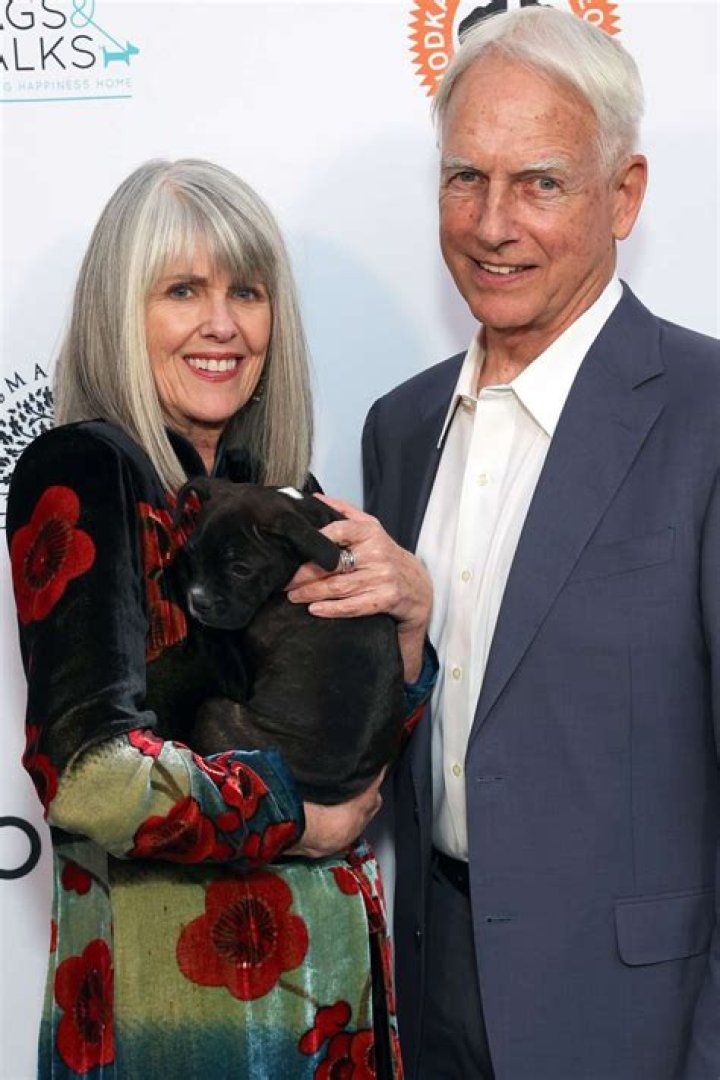 Meet Mark Harmon's First Wife: Behind The Scenes And Personal Life Before Pam Dawber