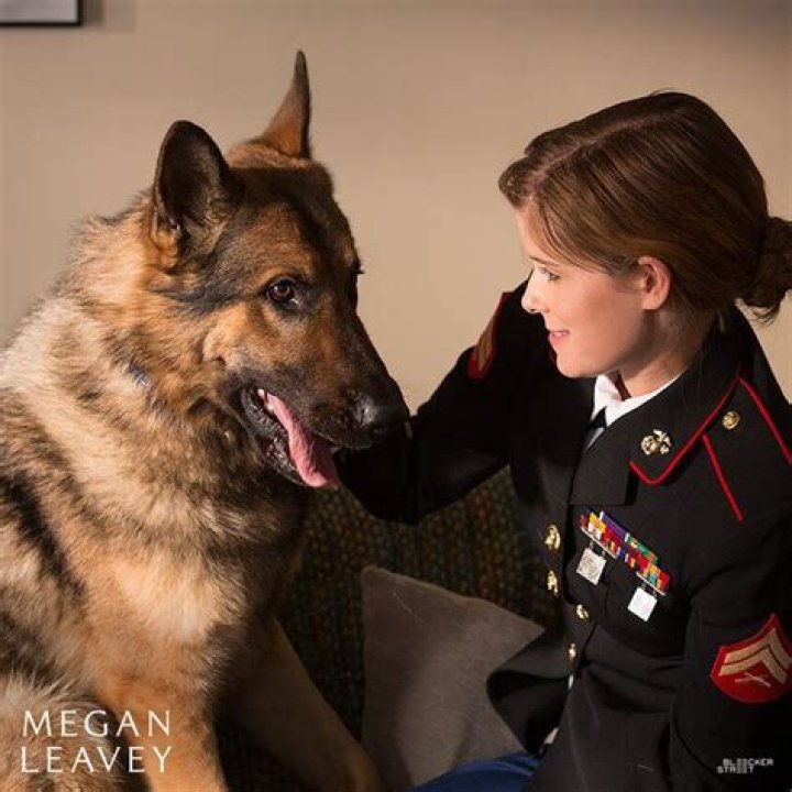 Meet The Husband Of American Hero Megan Leavey