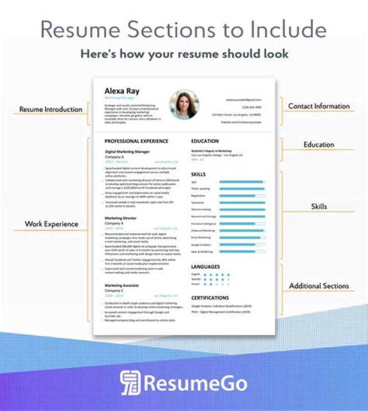 Mike Vitae: The Essential Guide To Resume Writing