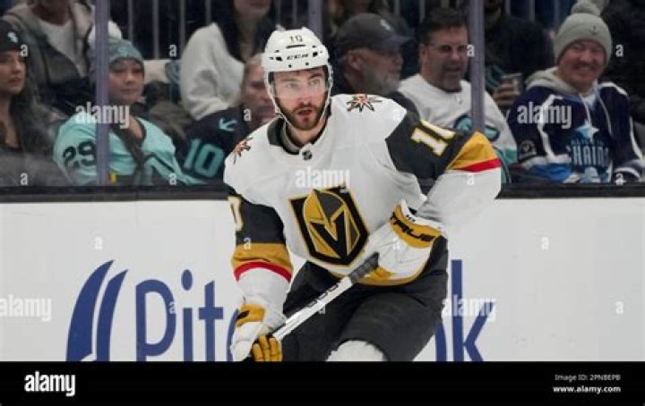 Professional Insights From Hockey Star Nicolas Roy