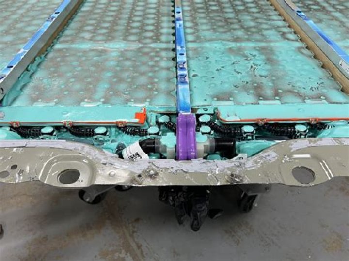 Surprising Revelations And Expert Insights