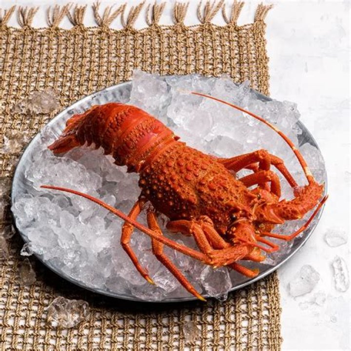 The B-52's Iconic Song: Uncover The Secrets Of "Rock Lobster"