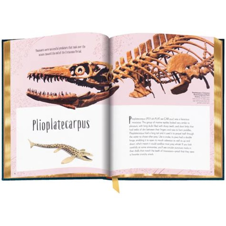 The Complete Guide To Understanding Mohandas Dewese