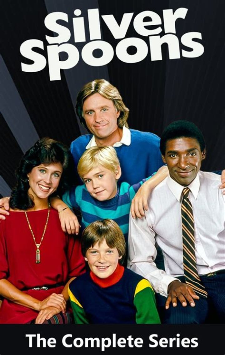 The Definitive Guide To Ricky Schroder's Role In Silver Spoons