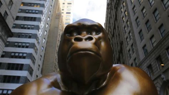 The Enduring Legacy Of Harambe: Remembering A Beloved Icon