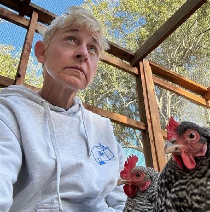 The Surprising Age Of Barbaranne Wylde: A Look At Her Life And Career