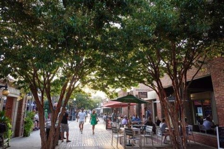 The Ultimate Guide To Aiken Singer: A Comprehensive Resource For Fans