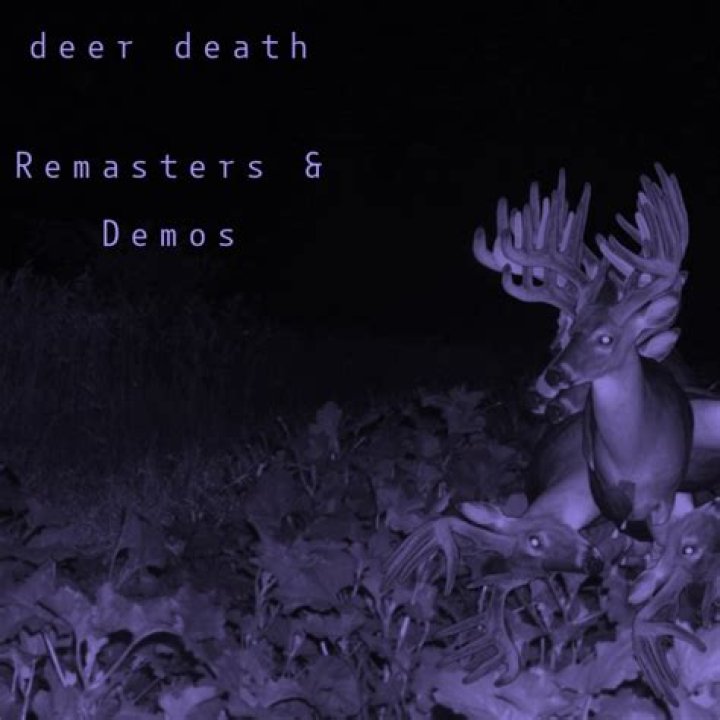 The Ultimate Guide To Deer Death Band: Discover Their Haunting Melodies