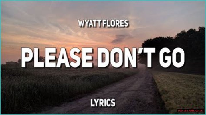 The Ultimate Guide To "Tank Please Don't Go" Lyrics: Meaning And Story