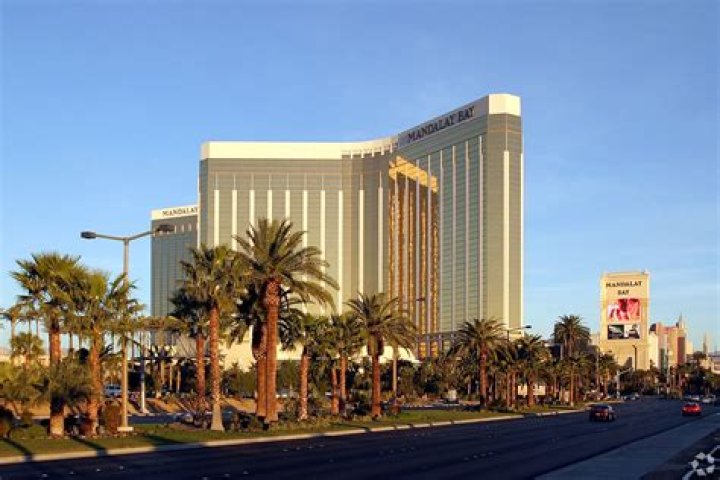 The Ultimate Guide To Vici Ownership: Becoming A Successful Vici Owner