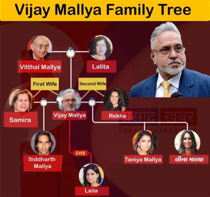 Uncover The Untold Story Of Siddharth Mallya's Wealth, Family, And Controversies