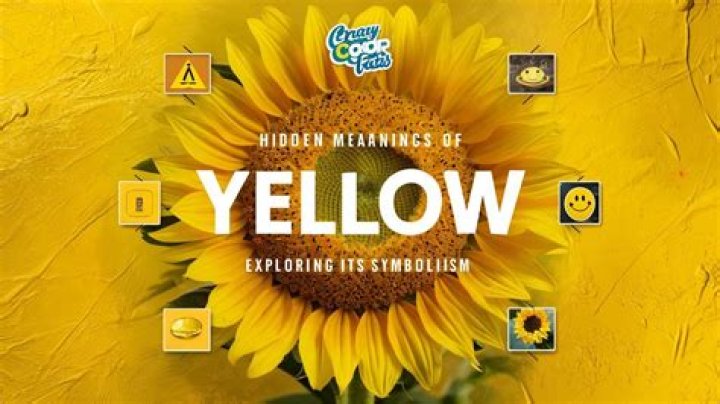 Unleash The Hidden Meanings Of Black And Yellow
