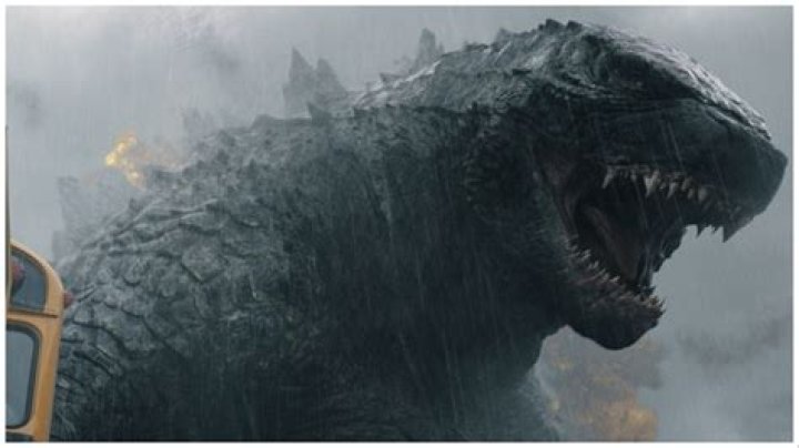 What Really Happened With Gary Busey: An Inside Look