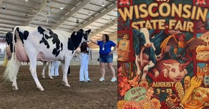 Wisconsin State Fair's Controversial Cow Name: A Racial Slur?